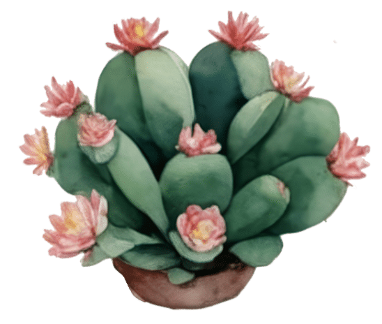 Cactus illustration 2
