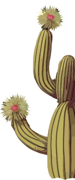 side cactus